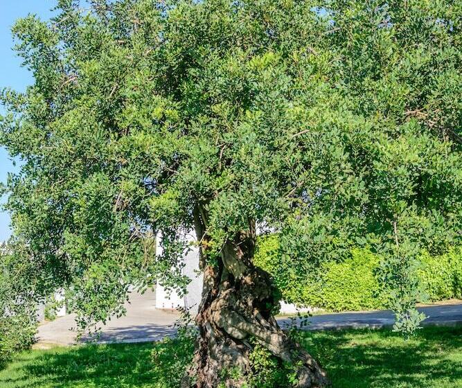 호텔 Pedras Da Rainha