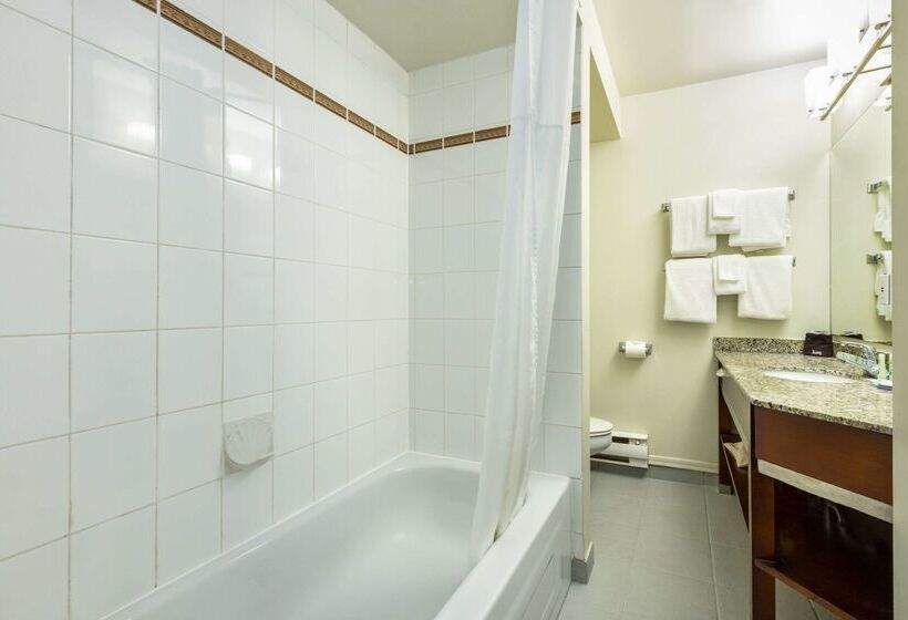 호텔 Quality Inn & Suites