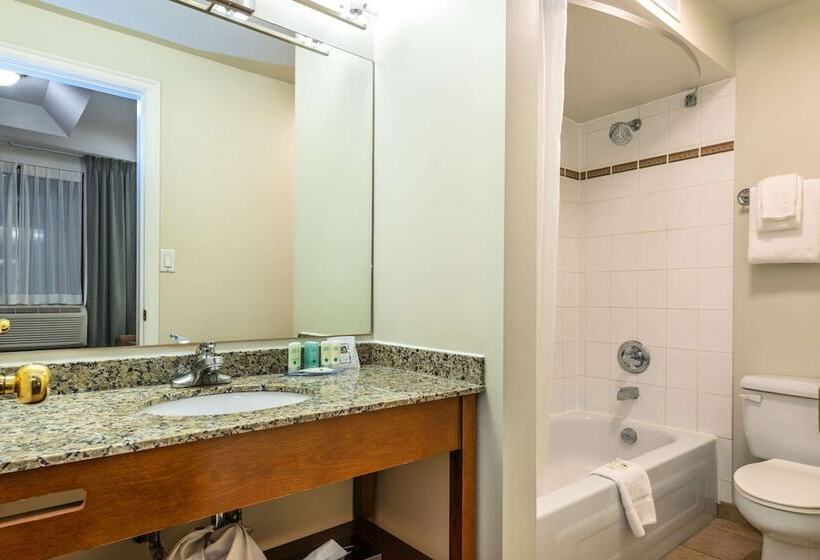 호텔 Quality Inn & Suites