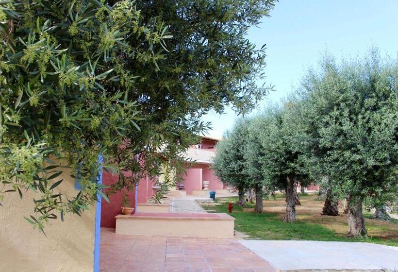 田舎風ホテル De Charme Capela Das Artes