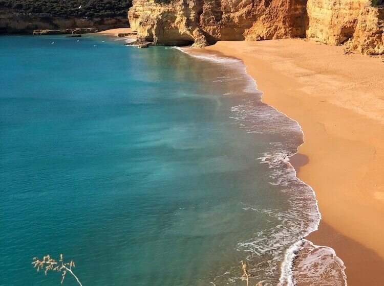 田舎風ホテル De Charme Capela Das Artes