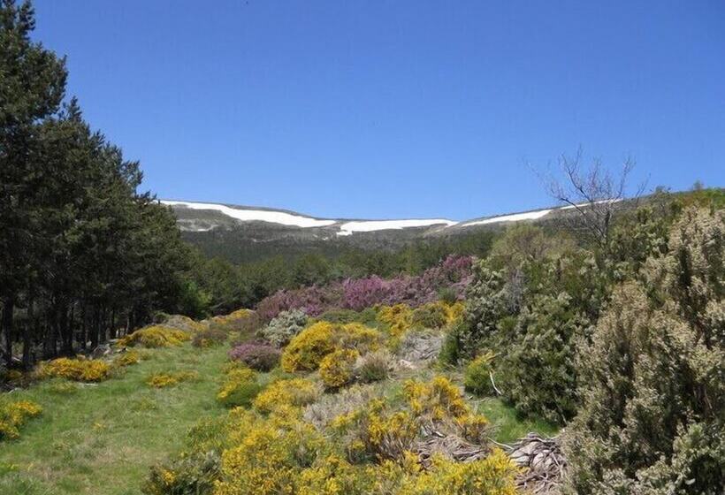 בית מלון כפרי Rural Remanso