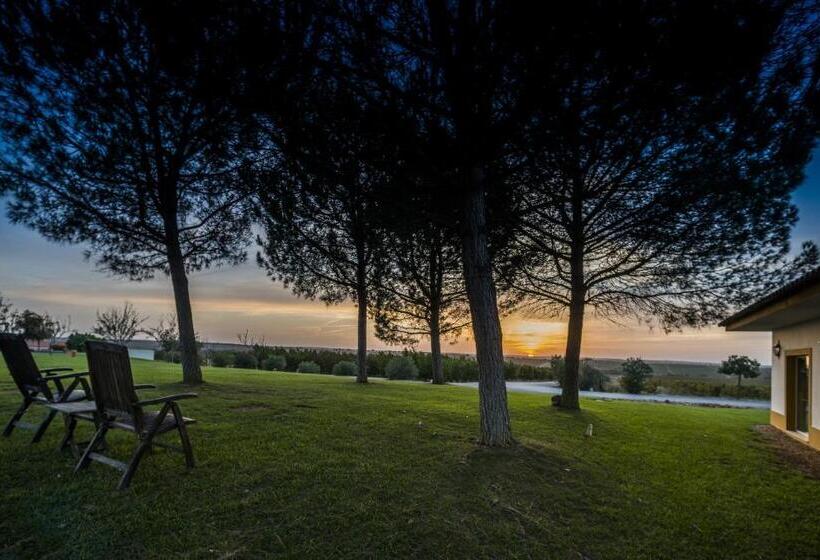 Сельский отель Vila Galé Alentejo Vineyards