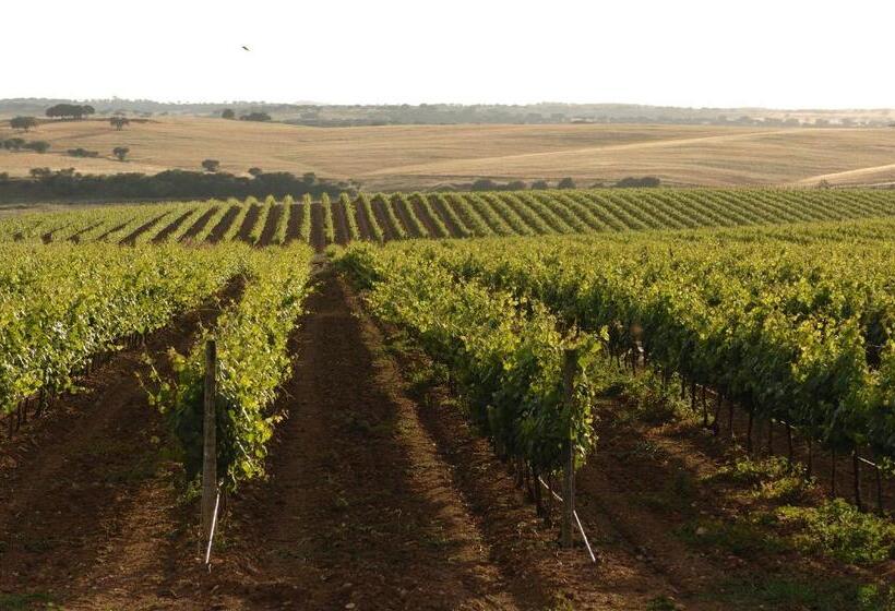 田舎風ホテル Vila Galé Alentejo Vineyards