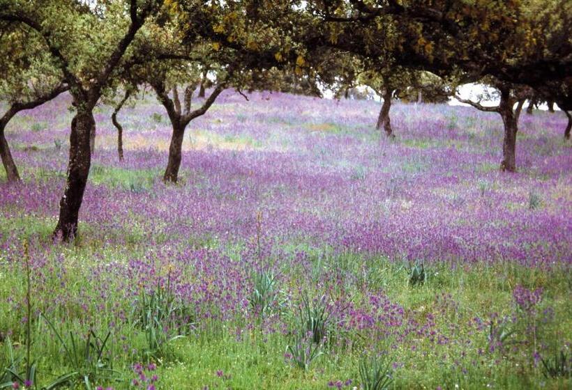 Отель Sierra De Andujar