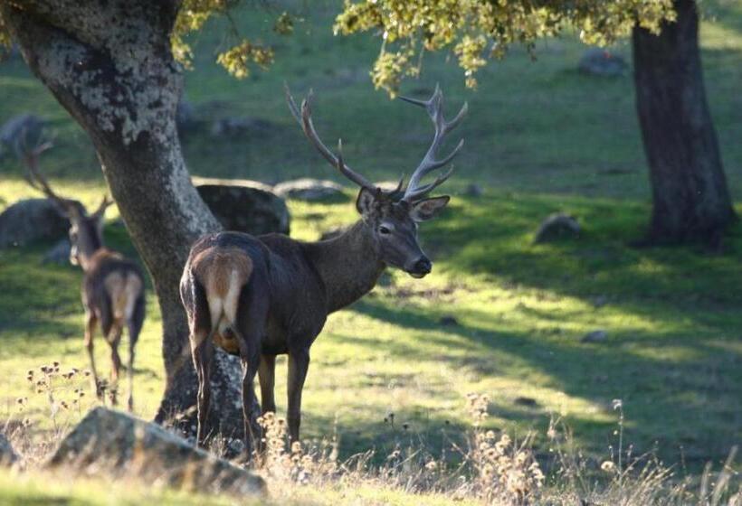 Отель Sierra De Andujar