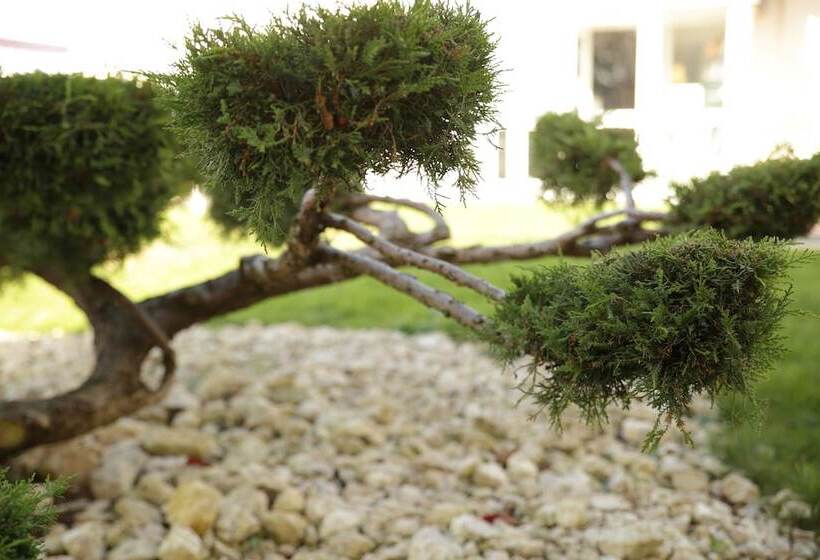 Отель The Originals City, Hôtel La Terrasse, Tours Nord