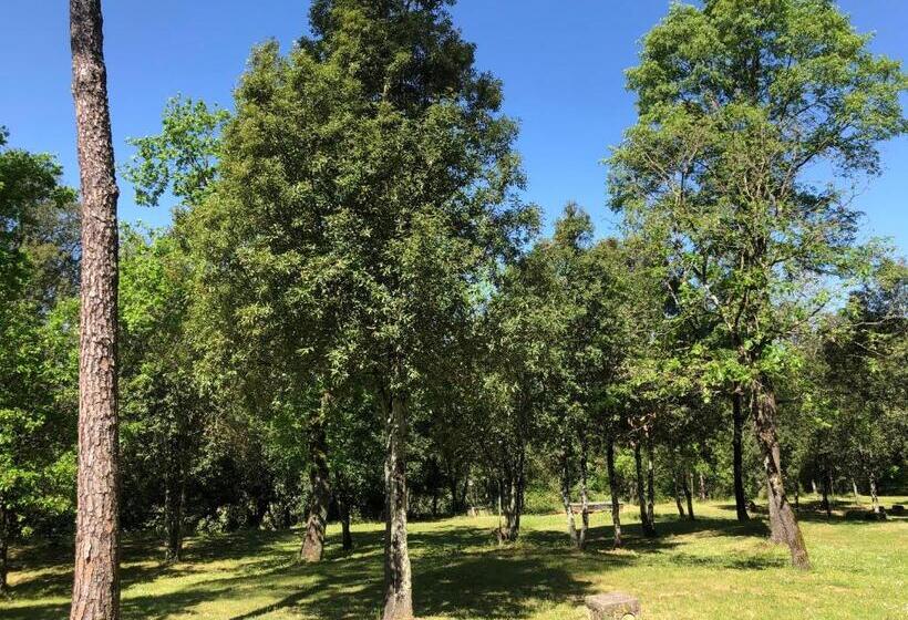 호텔 Toscana Verde