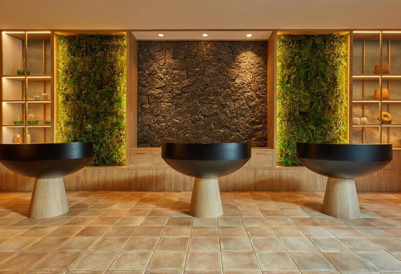 Secrets Lanzarote Resort & Spa   Adults Only