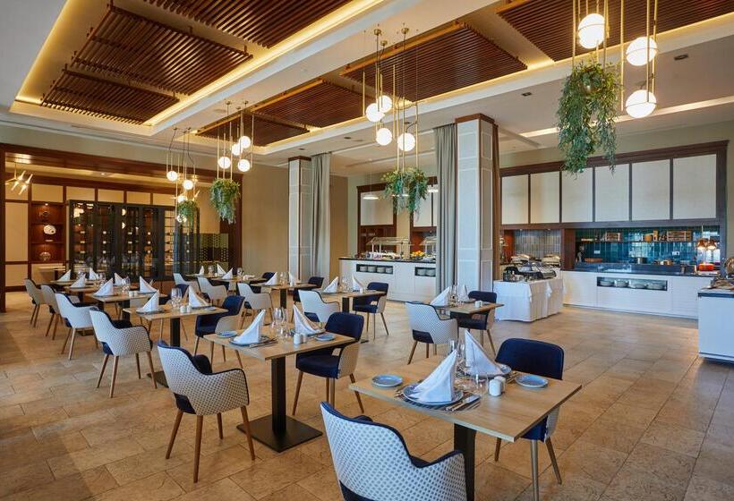 Secrets Lanzarote Resort & Spa   Adults Only