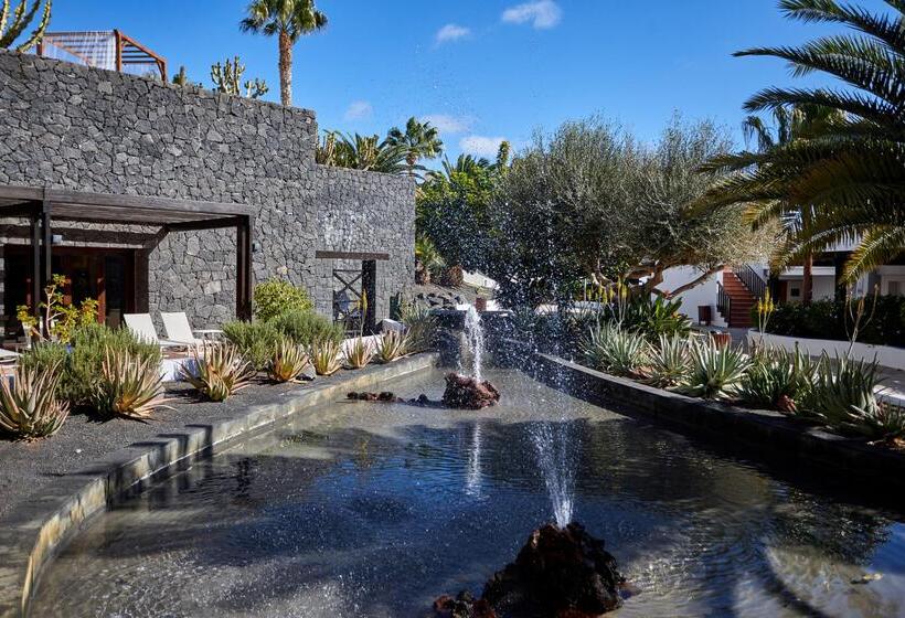 Secrets Lanzarote Resort & Spa   Adults Only