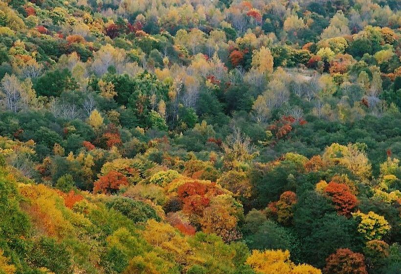 منتجع Vignette Collection The Windsor Hotel Toya, An Ihg