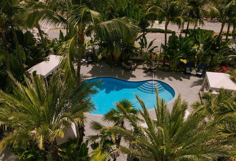 בית מלון כפרי Sonder The Deco