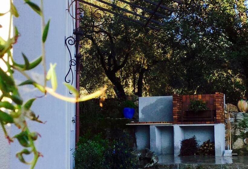 Appart Shotel Fior Di Ribba