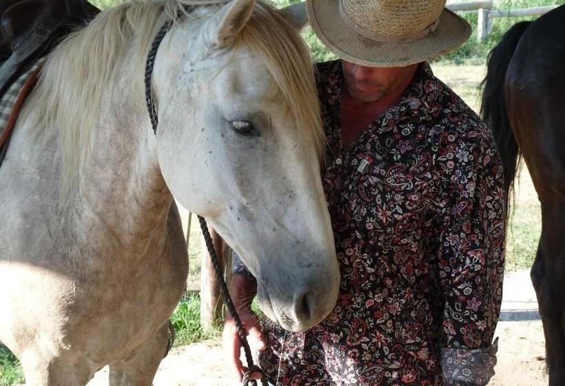 B&b Bergerie D Alivon En Camargue