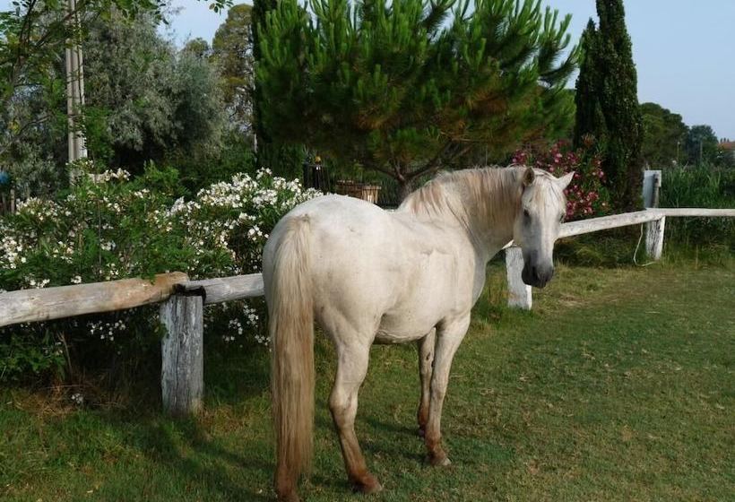 B&b Bergerie D Alivon En Camargue
