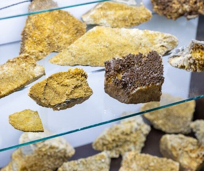 酒店 Ephesus Centrum