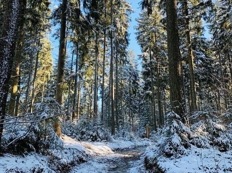 Pension Weiberwirtschaft In Pobershau
