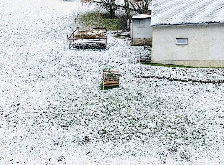 Pension Weiberwirtschaft In Pobershau