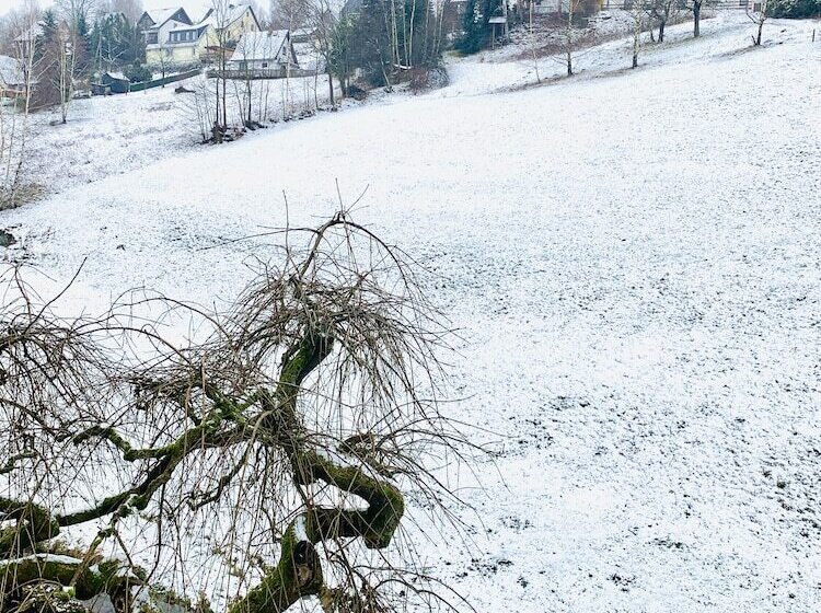 Pension Weiberwirtschaft In Pobershau