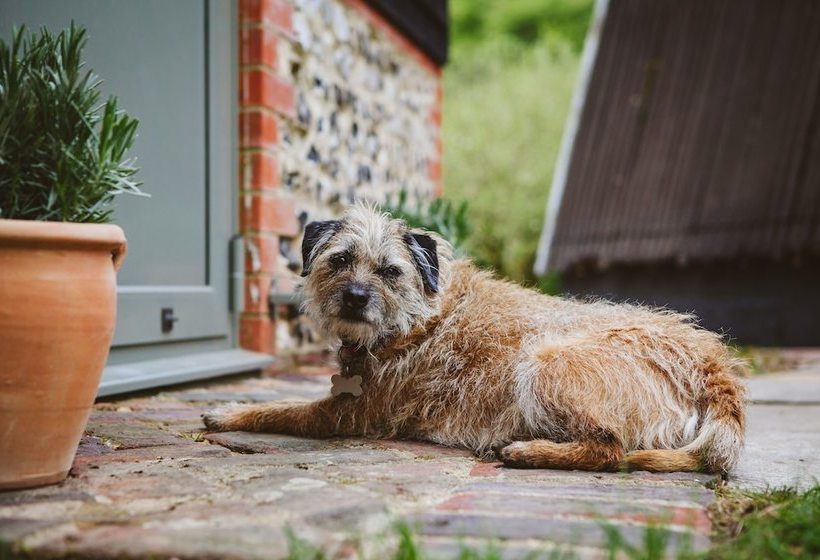 The Barn At North Lodge