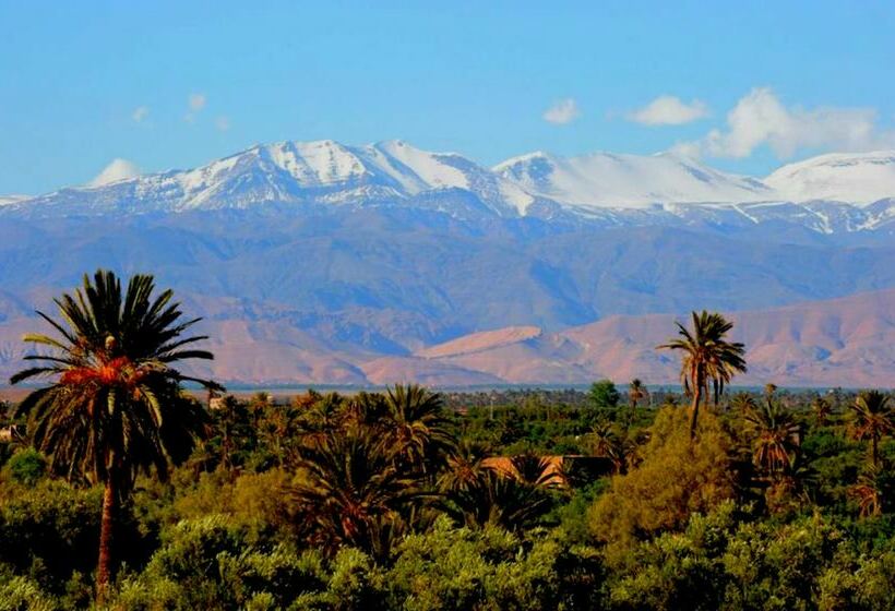 هتل Aramja Luxury Camp