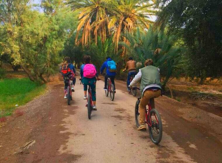 فندق Aramja Luxury Camp