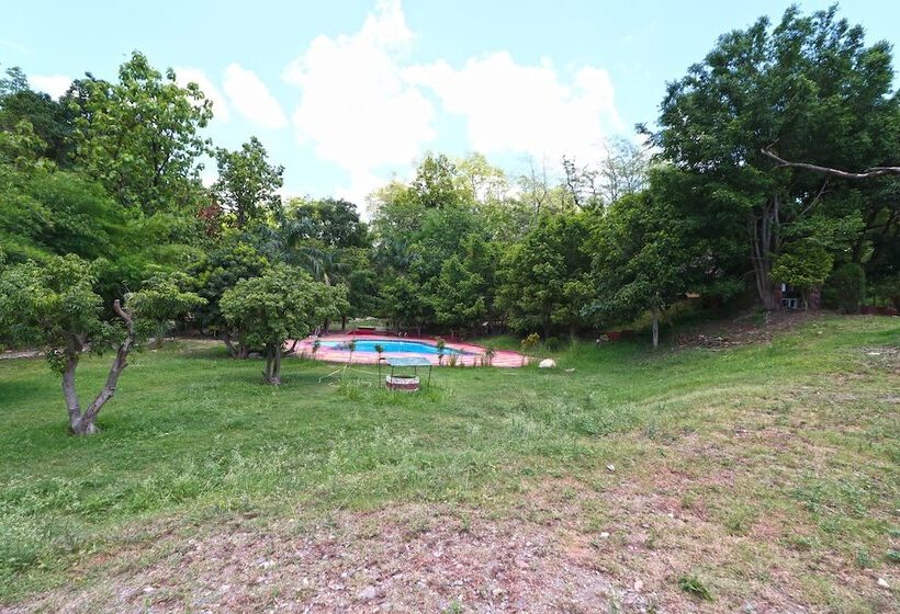 فندق Bagheera Jungle Retreat