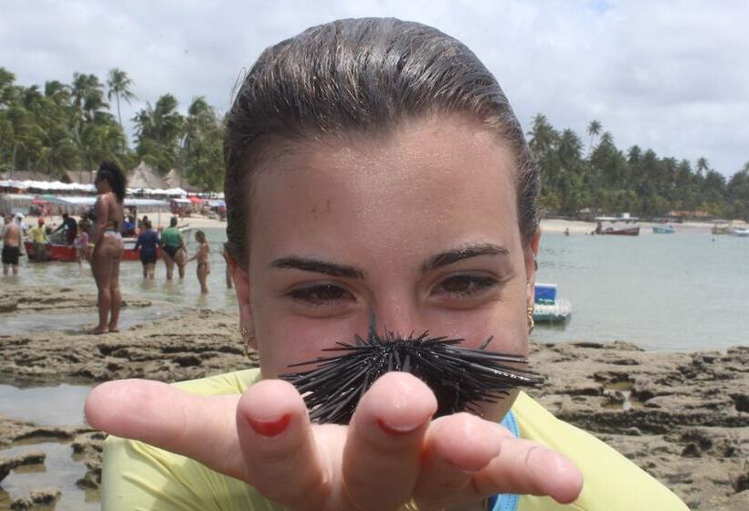 乡村酒店 Fazenda Amaragi