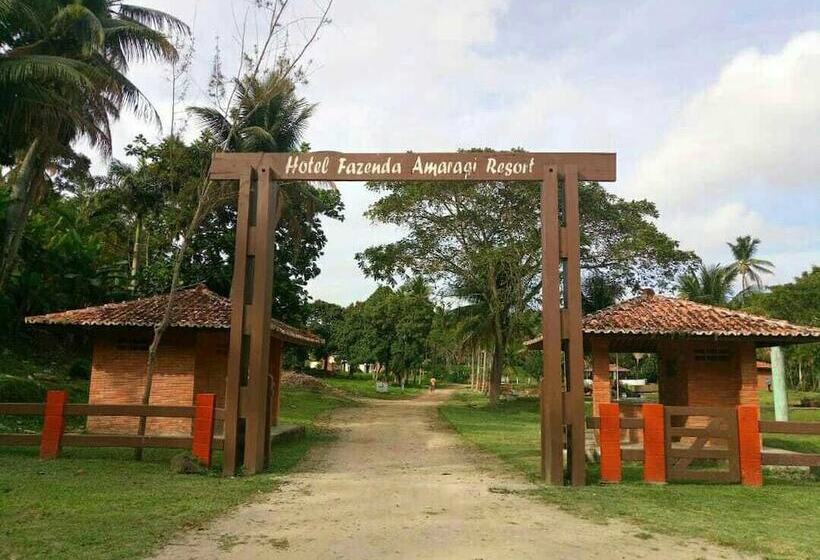 乡村酒店 Fazenda Amaragi