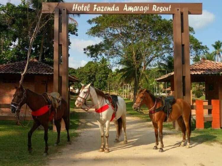 乡村酒店 Fazenda Amaragi