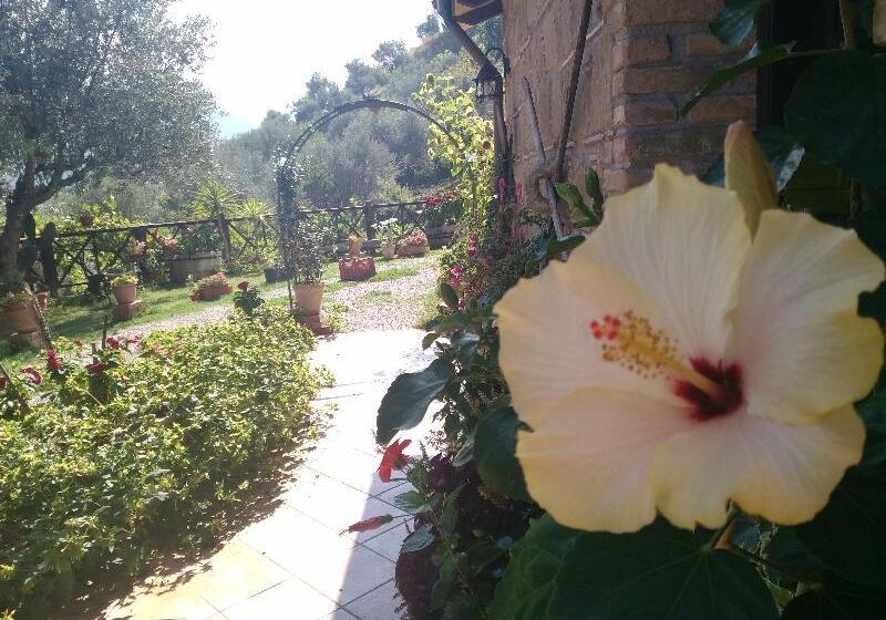 교외 호텔 L'uliveto