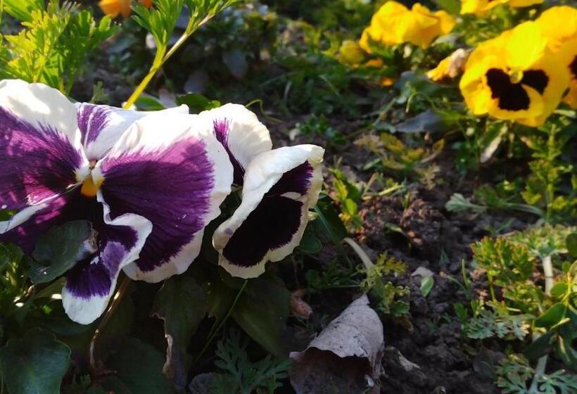 호텔 Victoria Family