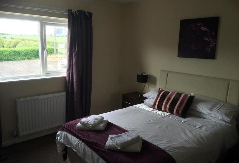 ユースホステル The Island View Inn