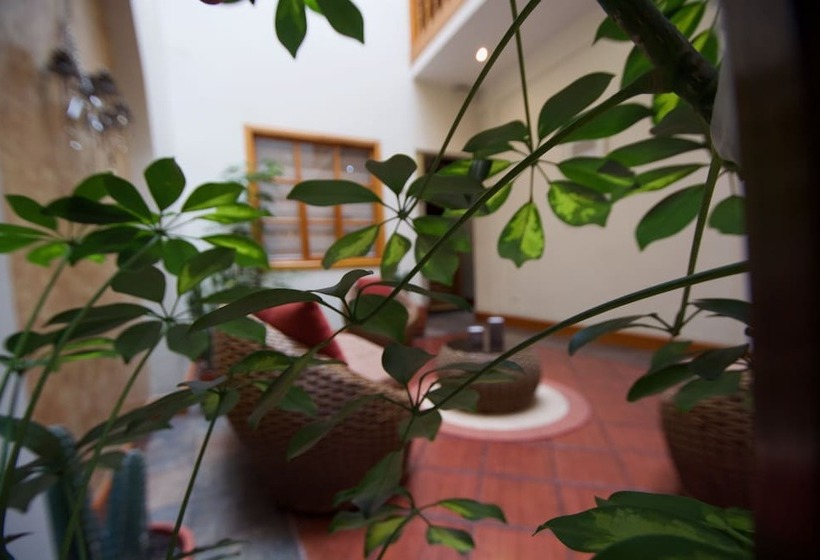 צימר Pepe S House Cuenca I Hotel & Boutique Hostel