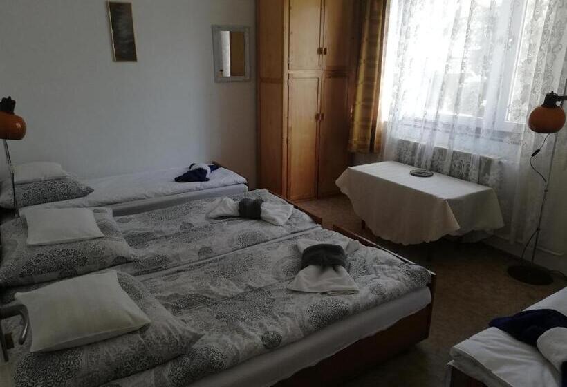 ベッドアンドブレックファースト Székely Szállás