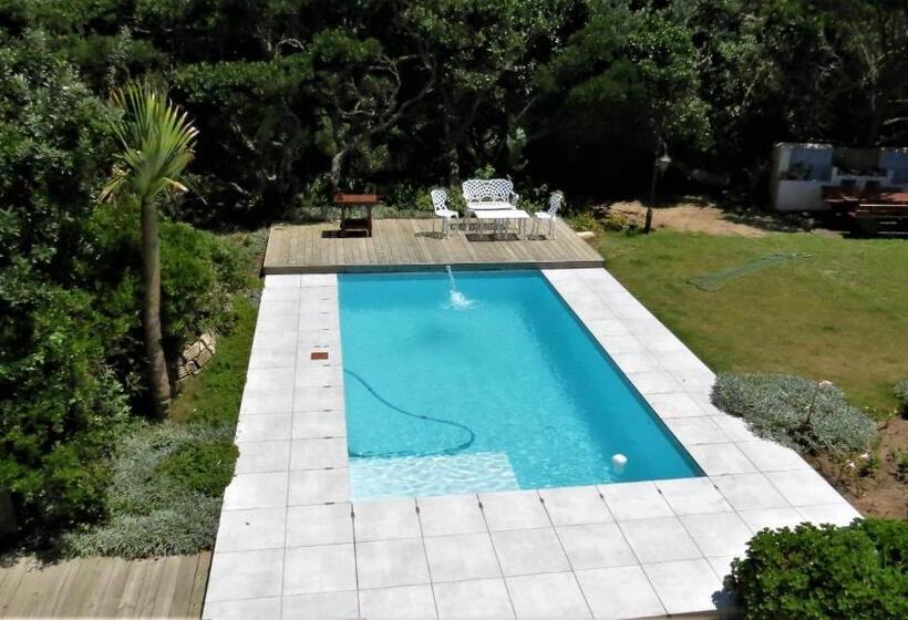 تختخواب و صبحانه The View