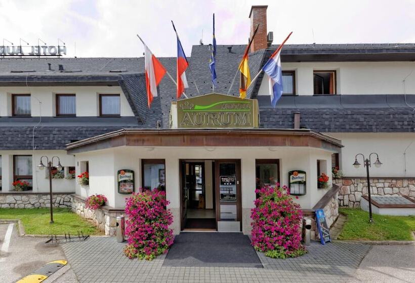 בית מלון כפרי Aurum Černý Důl