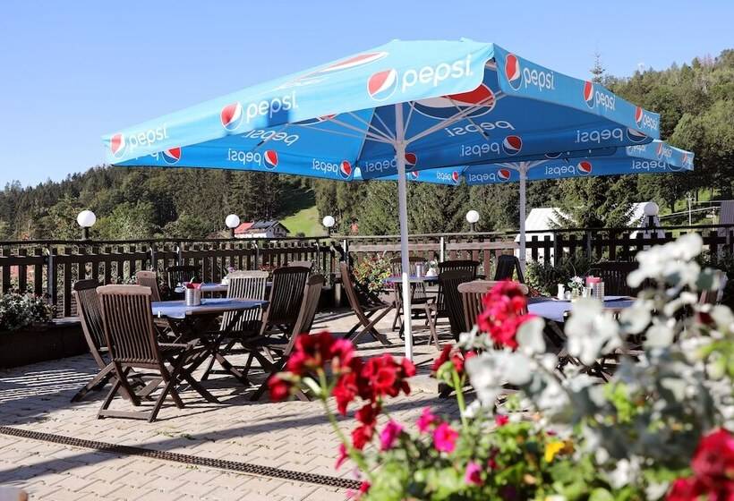 בית מלון כפרי Aurum Černý Důl