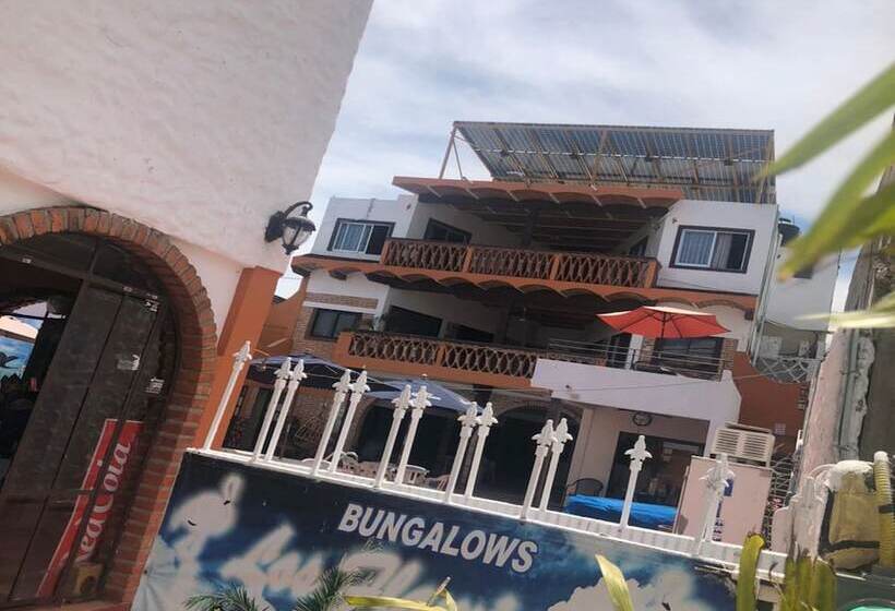 Отель Bungalows Los Flamingos
