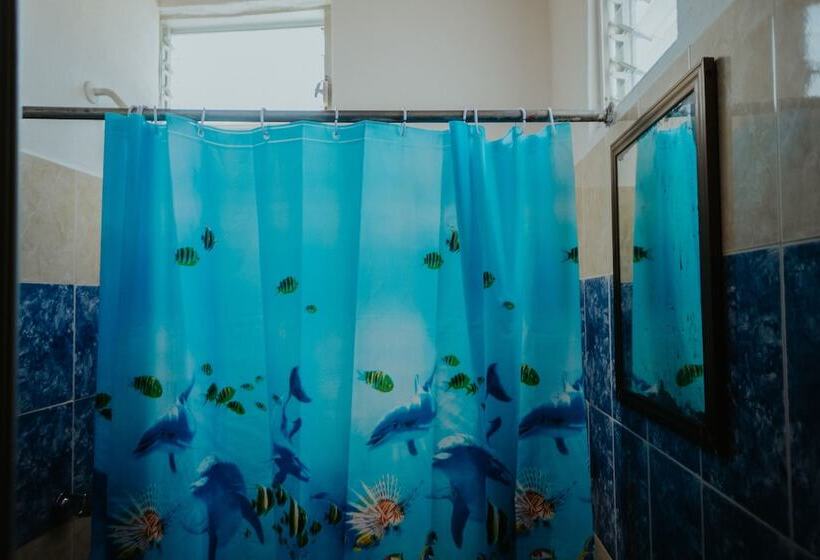 Отель Bungalows Los Flamingos