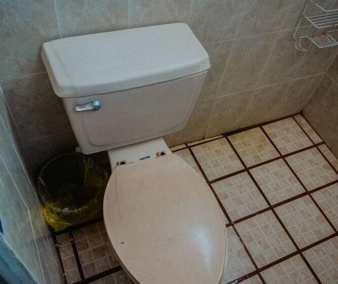 Отель Bungalows Los Flamingos