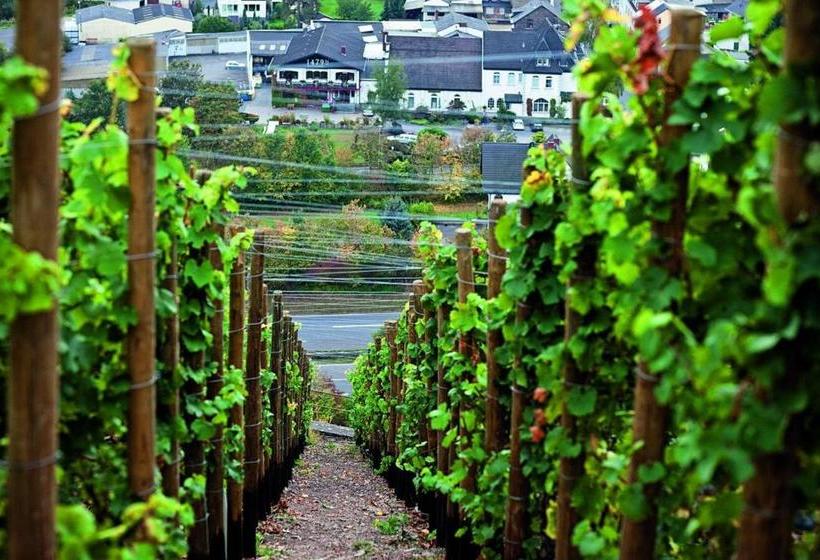 هتل Dinoris Boutique