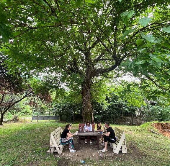 هتل Guest House In Gonio