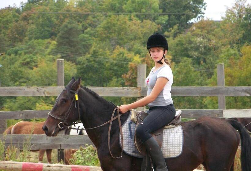 호텔 Hôtel Restaurant Les Templiers