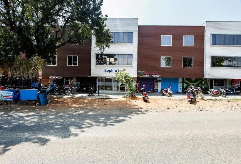 Отель Oyo 71299 Sophia Inn