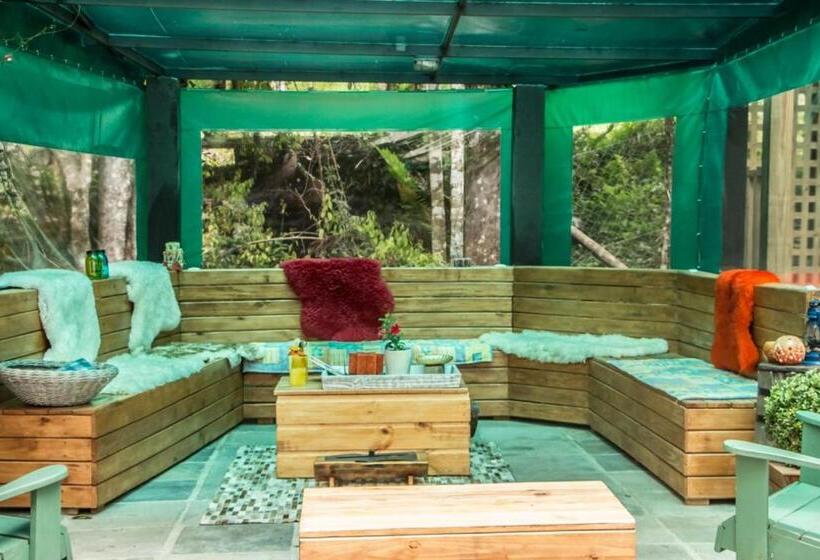 호텔 Cozumel Sierra