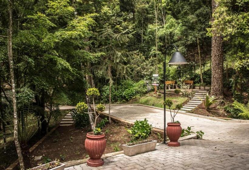 호텔 Cozumel Sierra