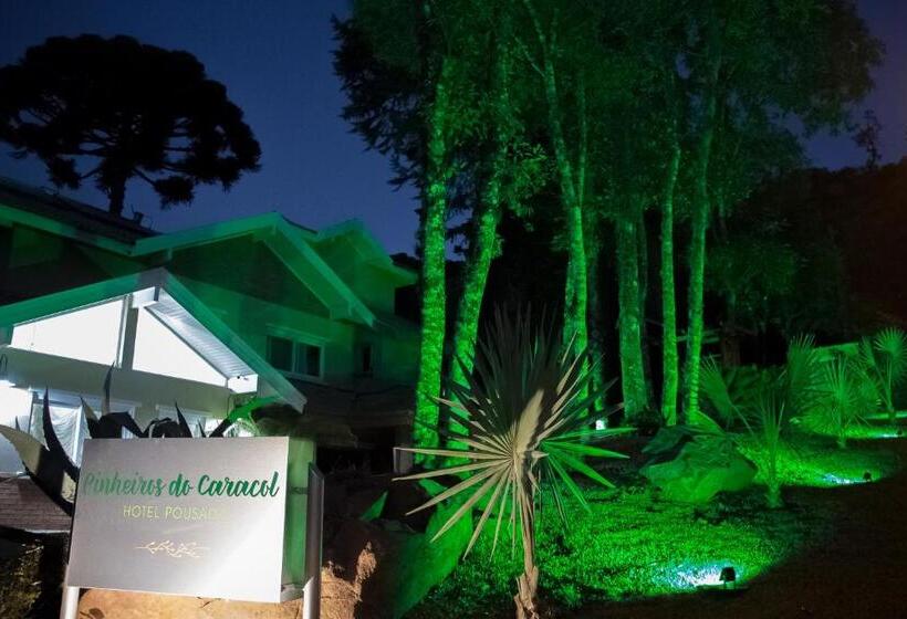 호텔 Cozumel Sierra