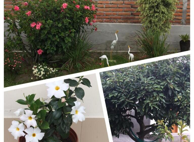 هتل Tababela Airport B&b